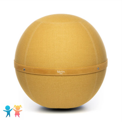 Kids ball seat