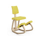 Ergo Stool
